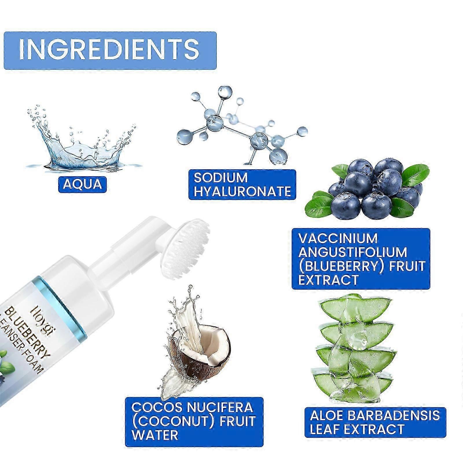Hoygi Blueberry Foam Cleanser