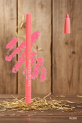 KARA Beauty Line Up Lip Liner  KATE