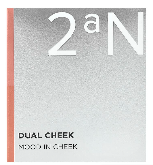 2aN Dual Cheek MOOD in CHEEK