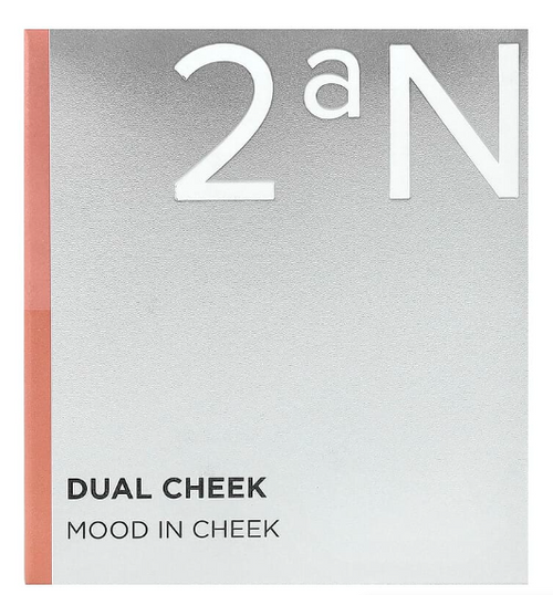 2aN Dual Cheek MOOD in CHEEK